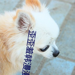 歪歪羞韓漫漫畫免費閱讀「下拉觀看」