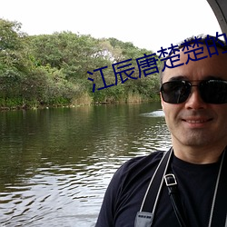 江辰唐楚楚的小说