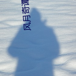 风月奇谭电影