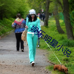 娱(娛)乐(樂)明星小说(說)