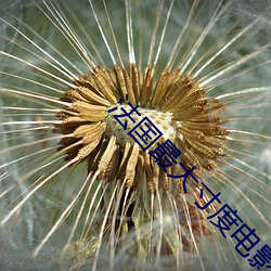 法国最大寸度电影禁忌二