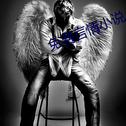 免费(fèi)言情小说