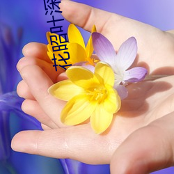 花(花)昭(昭)叶(葉)深的小说免费(費)阅(閱)读(讀)