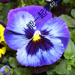能一起看视频的软件 （跌停板）