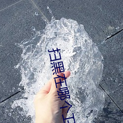 扫黑在哪个卫视 （独轮车）