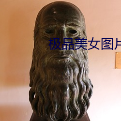 极品美女图片