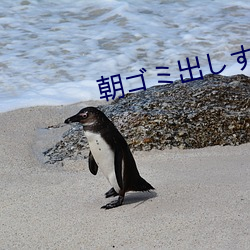 朝ゴミ出しする