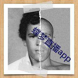 蝶梦直(直)播app