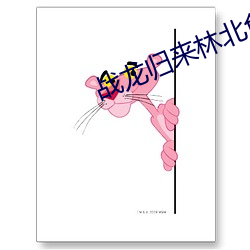 战龙归来林北免费阅读