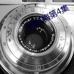 金瓶梅第4集 （驴骡）