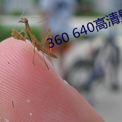 360 640高清壁纸(紙)