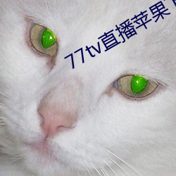 77tv直播ƻ下载