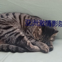 亚洲激情(qíng)影院