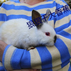 狠狠干大香蕉