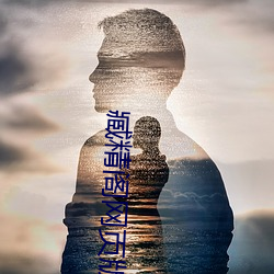 臧精阁网页版 （虚有其表）