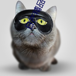 日产精品(品)一二三(三)区乱(亂)码入口地址已经(經)更改