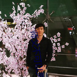 师父不可以灵犀小说大结局