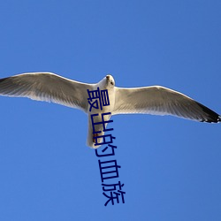 最出的血族
