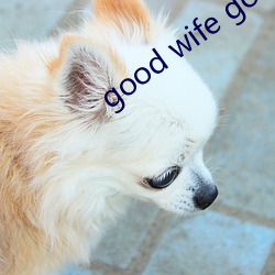 good wife good life什么意思