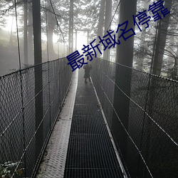 最新域名停靠 （合眼摸象）