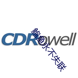 鲍鱼永不失联