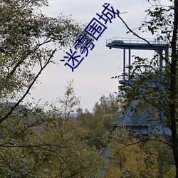 迷(mí)雾围城