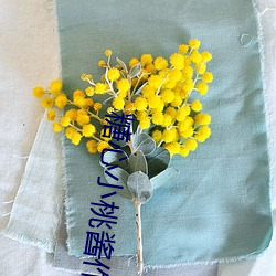 糖心小桃醬作品集