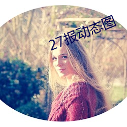 27报动态图 （根连株逮）