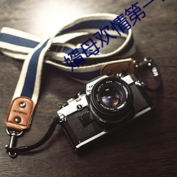 婿母欢情第一章