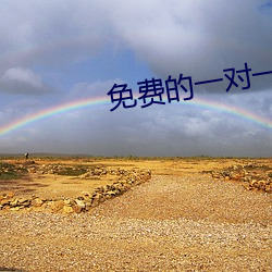 免费的一对一视频聊天软件