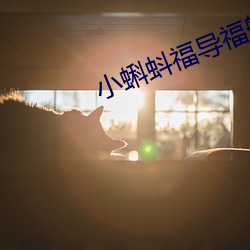 小蝌蚪(蚪)福(福)导福航app