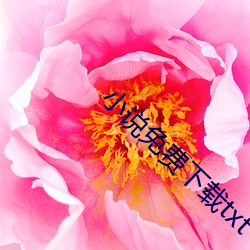 小说(shuō)免费(fèi)下载txt