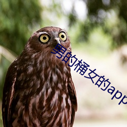 金年会 | 诚信至上金字招牌