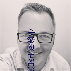 小(小)说(說)老卫和淑蓉全集(集)小说(說)