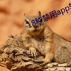 18种禁用app软件黄小黄鸭 （鼓乐齐鸣）