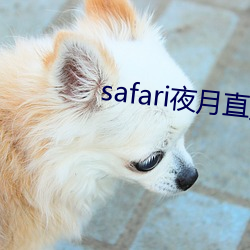 金年会 | 诚信至上金字招牌