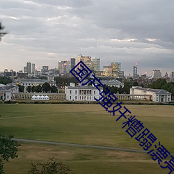 国(國)产(産)强奷糟蹋漂亮邻(鄰)居在线(線)观(觀)看(看)