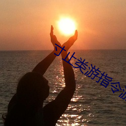 寸(寸)止类游(遊)指令游戏(戲)