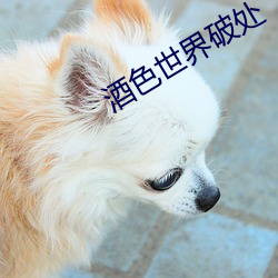 酒色世(世)界破处