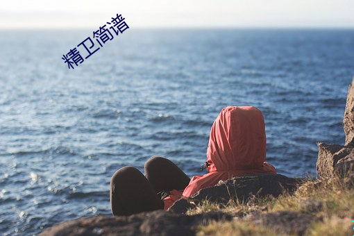 精卫简谱 （分账）