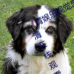 《青娱乐(lè)视觉(jué)盛(shèng)宴国产视频(pín)》免费(fèi)高清在线观看