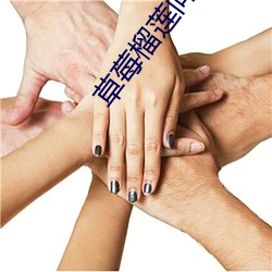 pg电子游戏试玩(中国游)官方网站