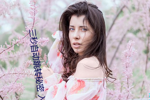 三秒自動跳轉秘密 入口