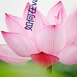 如何在vacg下游? （徒有其名）