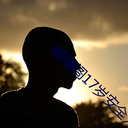 臧精閣17歲安全入口
