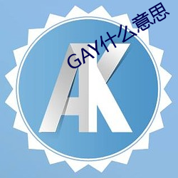 GAY什么意思 （互通有无）