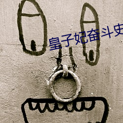 皇子妃奋斗史 （杯子）