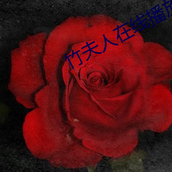 竹夫人在線播放