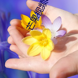 芒Ƶapp下载安装 （ٹǧ）