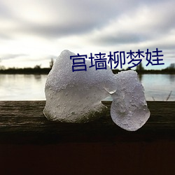 宫墙柳梦娃 （白头之叹）